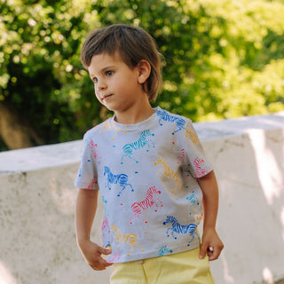 Toddler wearing UV blocking tshirt in zebra print in a park on sunny day