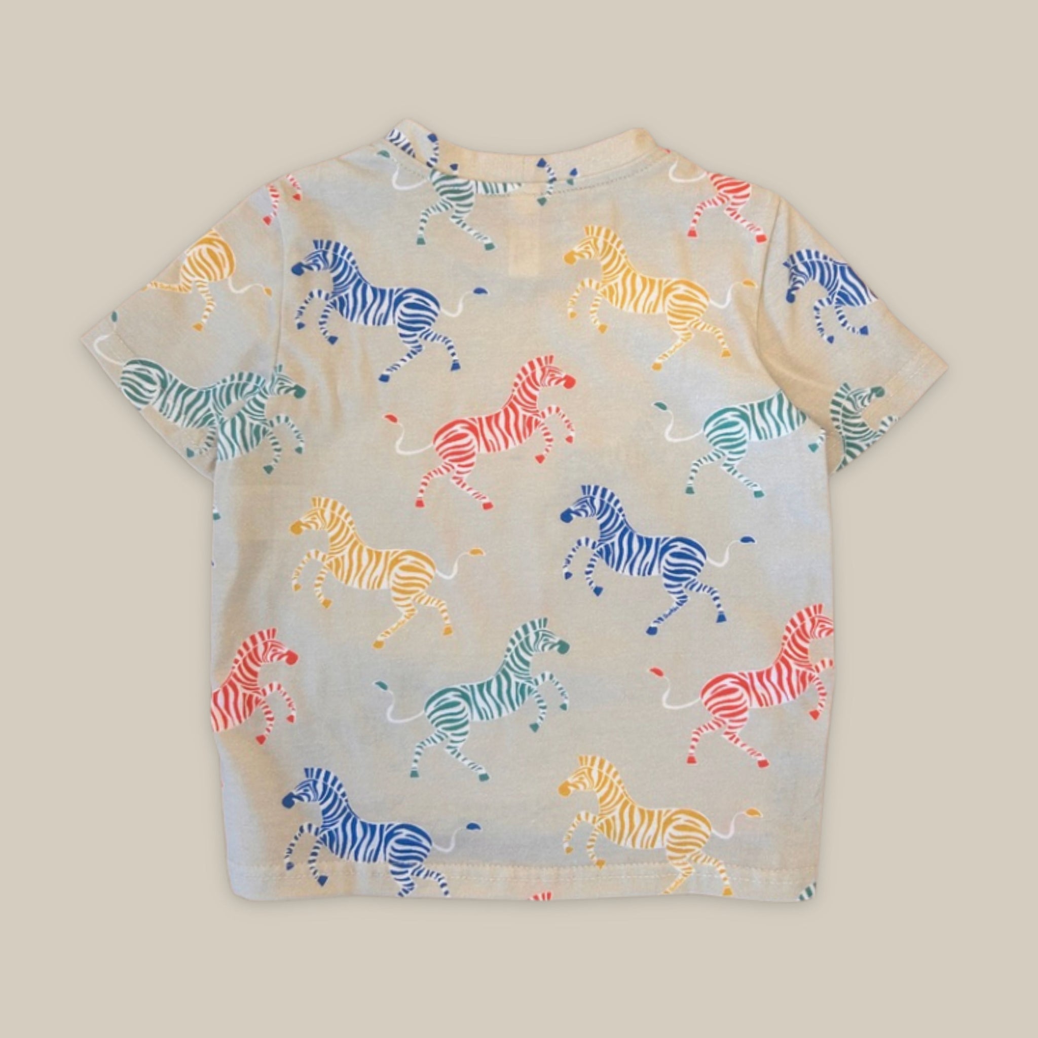 Back of T-shirt with colourful zebra pattern on a beige background